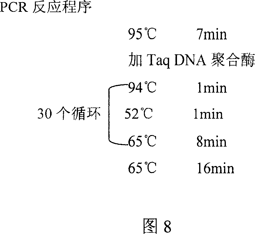 Low temperature conservation method for Chinese mushroom strain