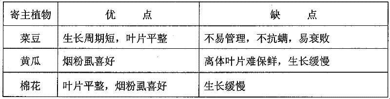 Encarsia Sophia artificial propagation production method