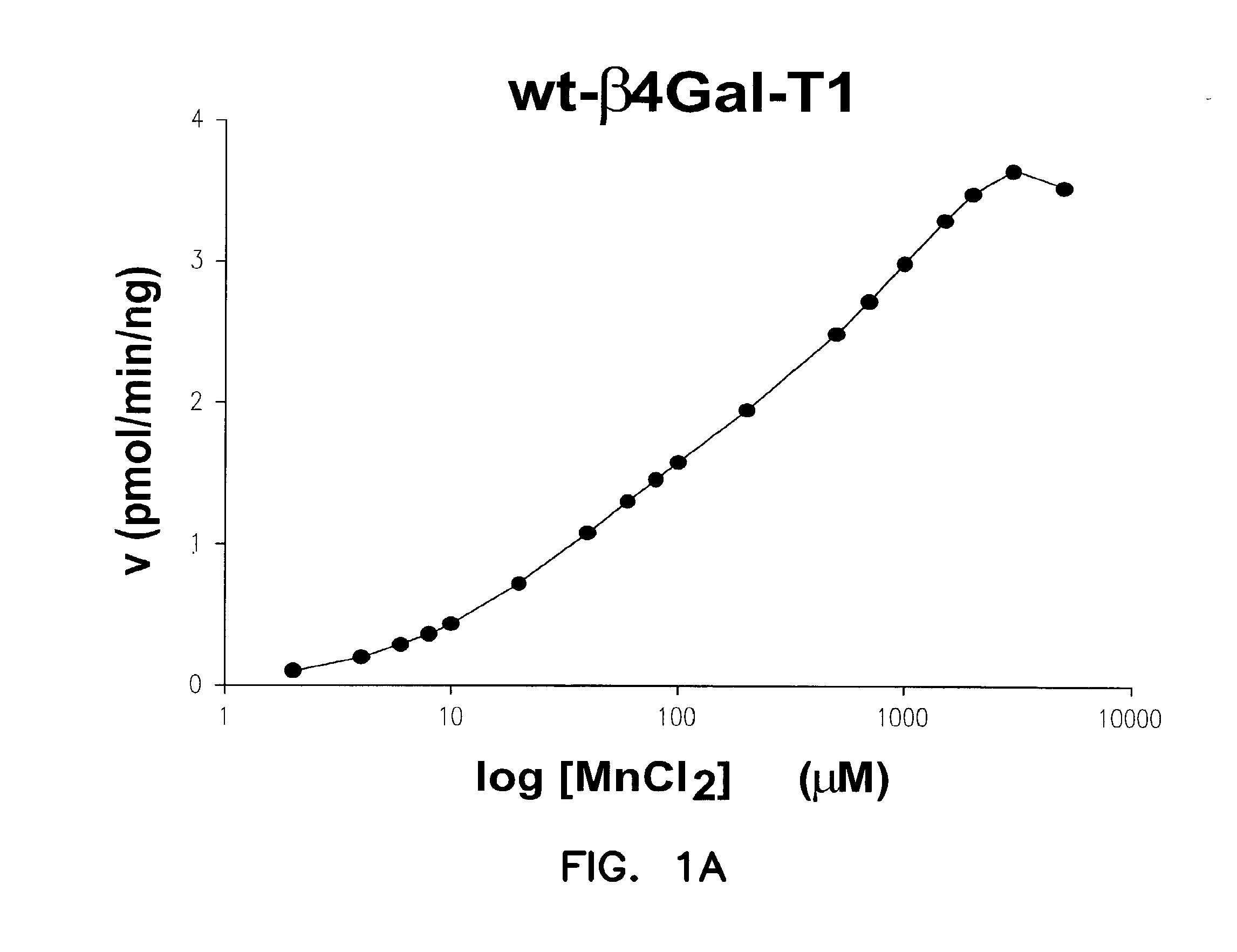 Catalytic domains of beta(1,4)-galactosyltransferase i having altered metal ion specificity