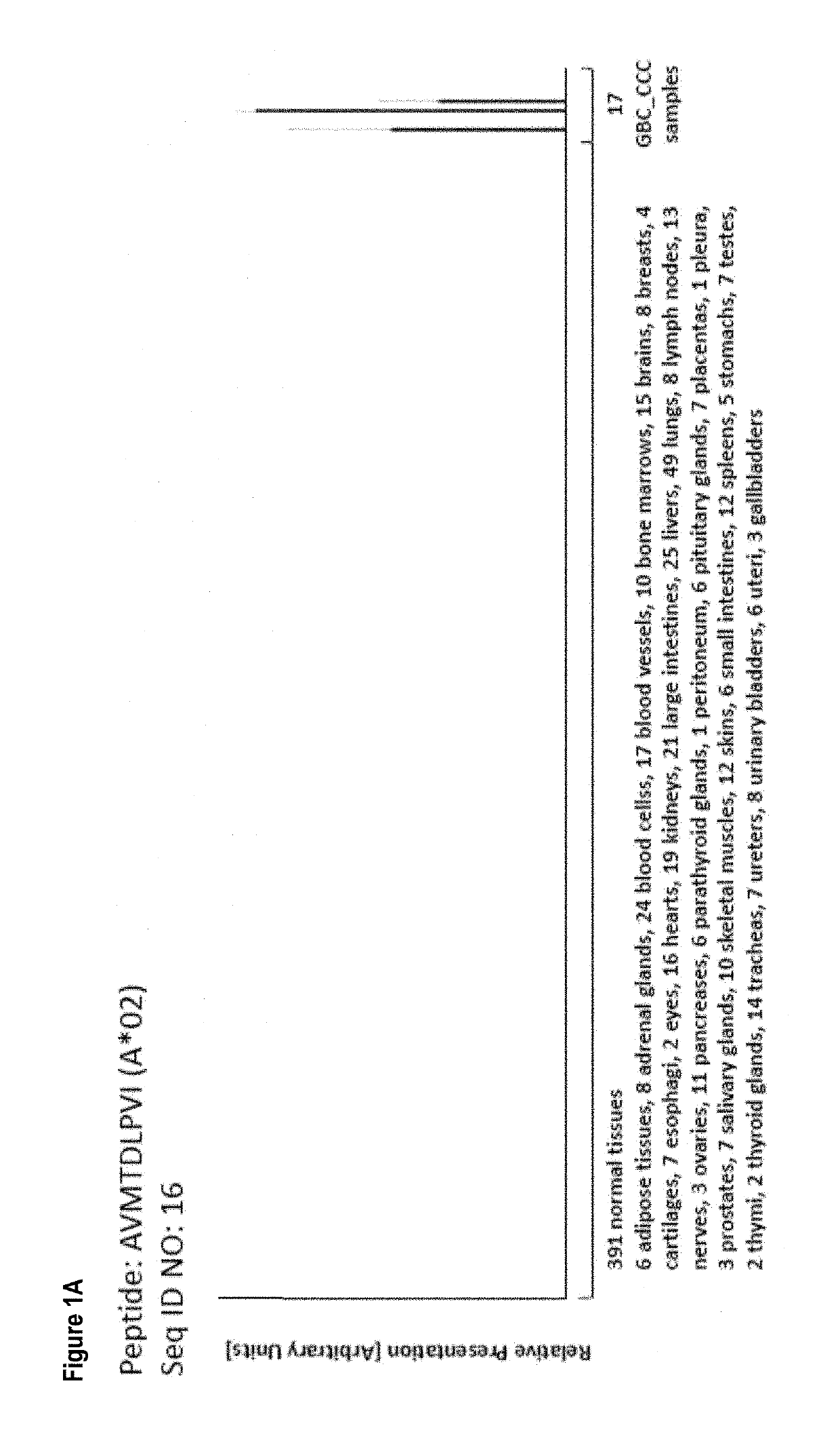 Novel peptides, combination of peptides as targets and for use in immunotherapy against gallbladder cancer and cholangiocarcinoma and other cancers