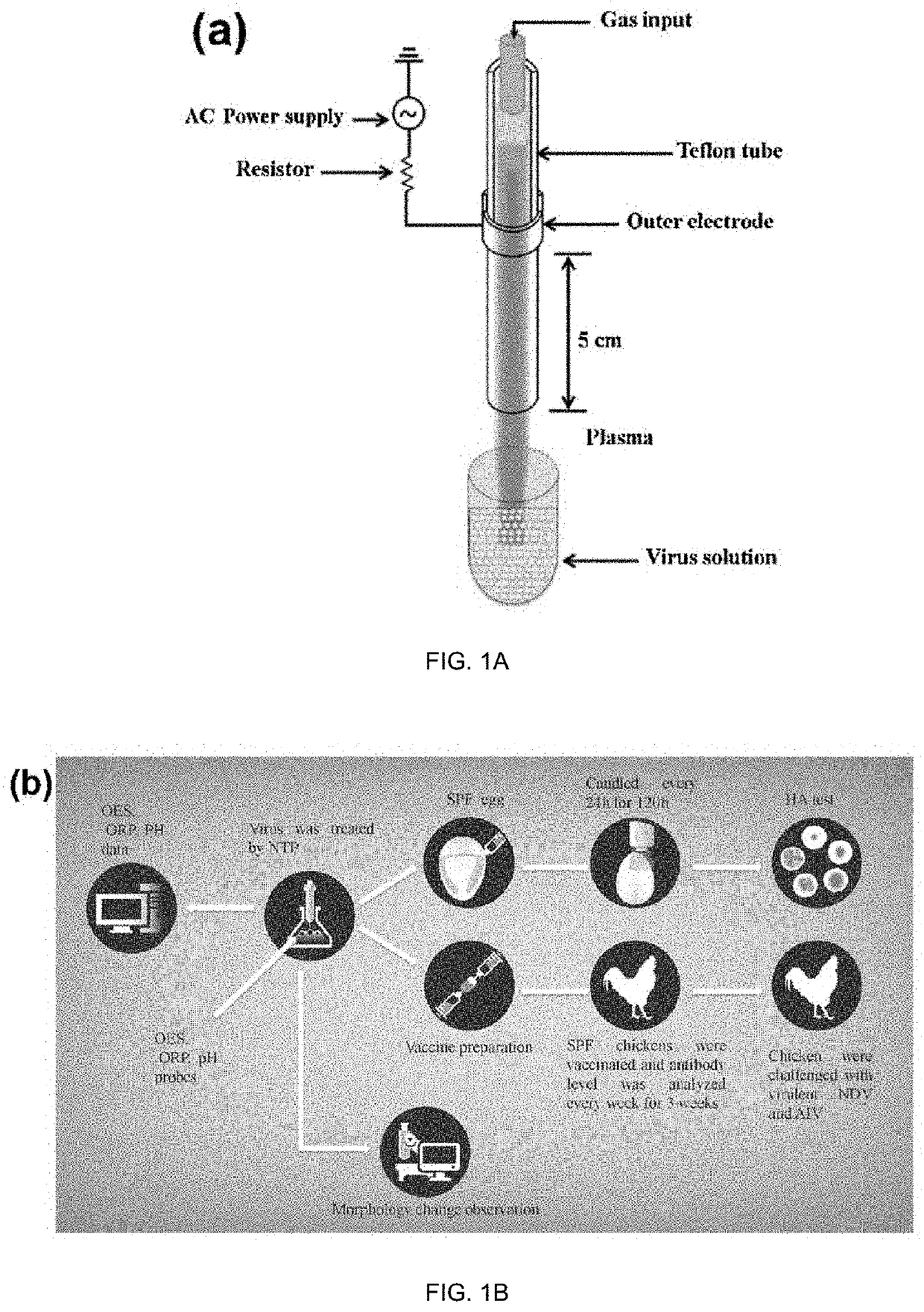 Production of Immune-Response-Stimulating Aerosols By Non-Thermal Plasma Treatment Of Airborne Pathogens