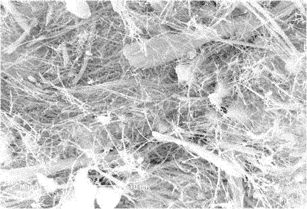 Preparation process of mineral composite material capable of adjusting moisture