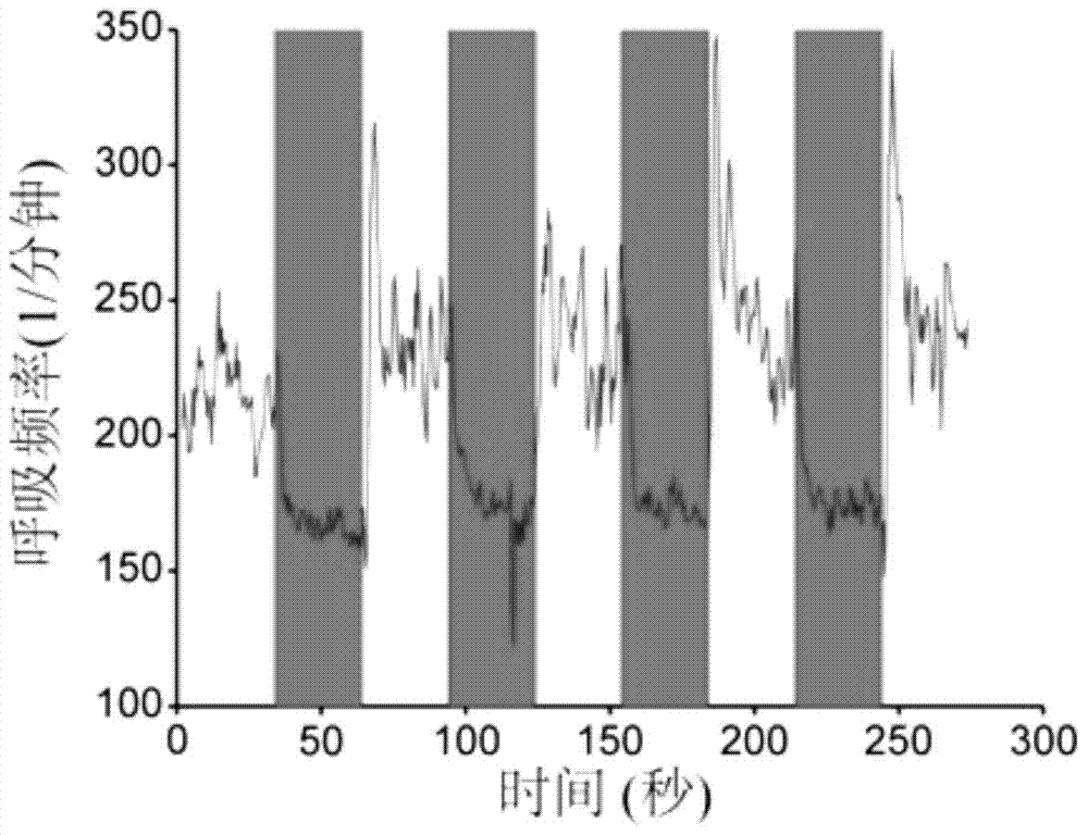 Applications of expression vector carrying light-sensing ion channel protein encoding gene in preparation of respiratory rhythm regulating and controlling drug