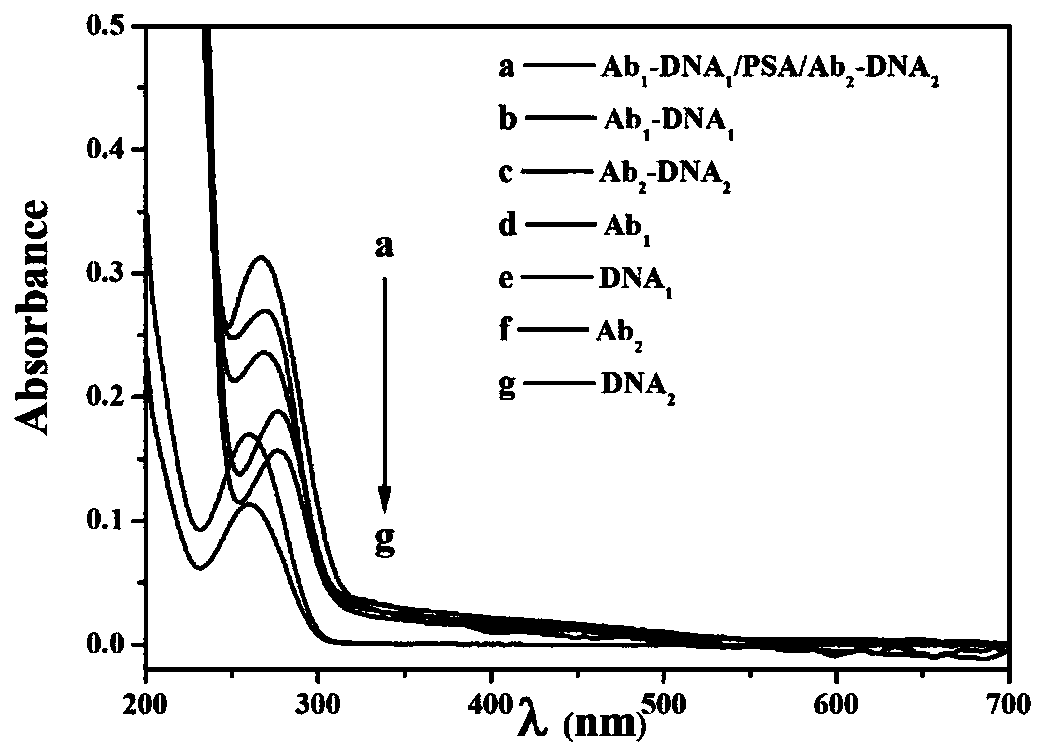 Detection kit for prostate specific antigen, detection method and application thereof