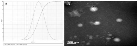 Construction of long-circulating liposome of fraxetin and its research on anti-enteritis effect