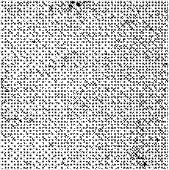 Immunochromatography test paper for detecting Ciprofloxacin and preparation method thereof