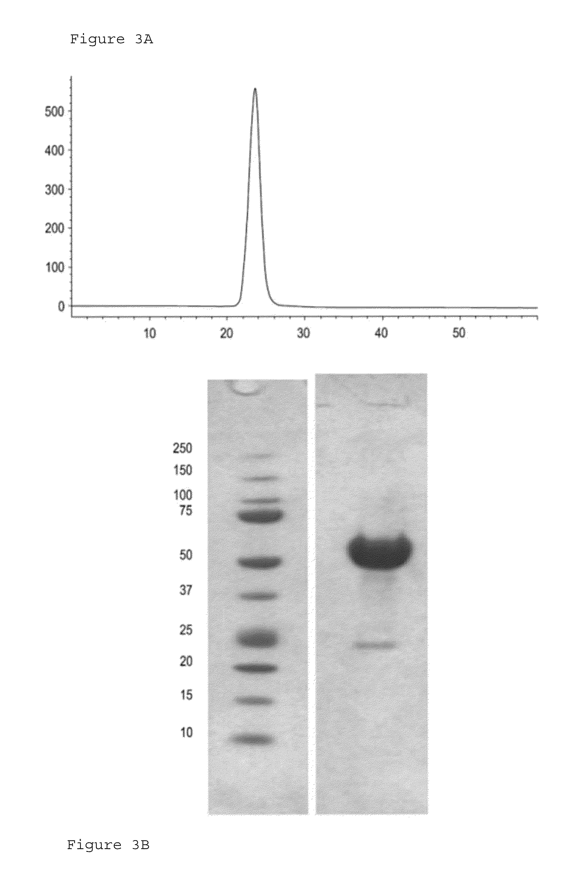 Methods and compositions for treating ulcers