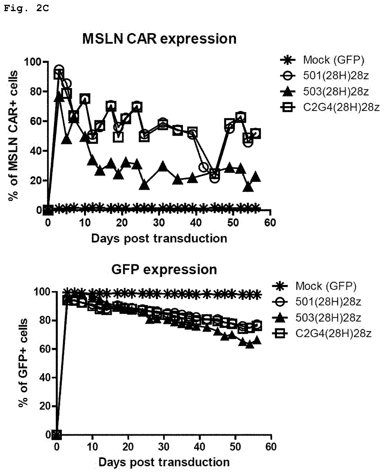 Mesothelin-specific chimeric antigen receptor and t cells expressing same