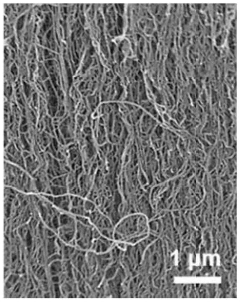 A kind of carbon nanotube thin film and preparation method thereof