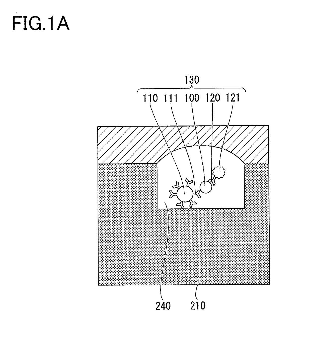 Method and kit for target molecule detection