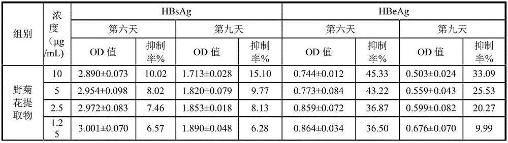 Preparation method of mother chrysanthemum liver protection pellets