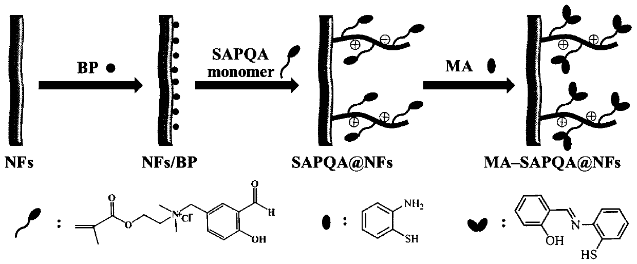 A kind of probe modified polyquaternium composite material and its preparation method and application