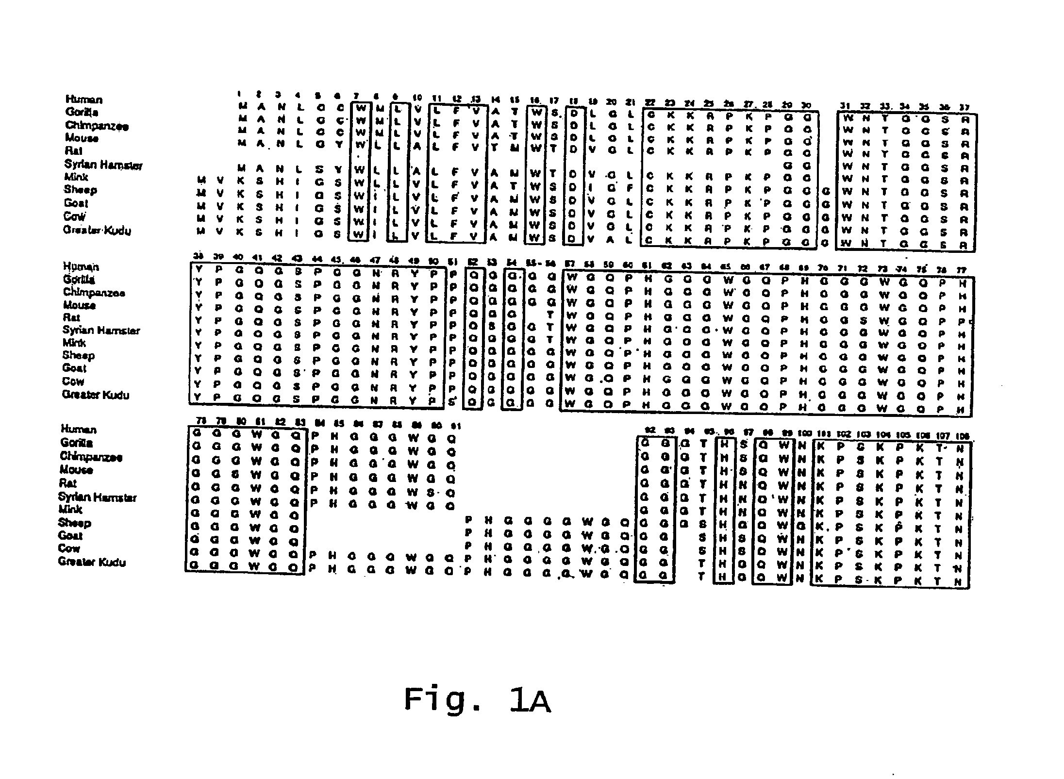 Mucosal immunization to prevent prion infection