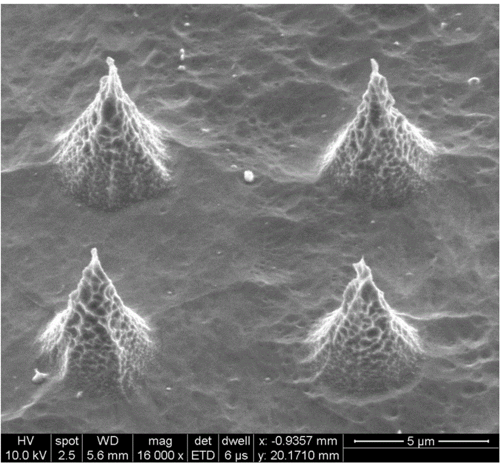 Metal molybdenum substrate-based field-induced electron-emitted cathode array and preparation method thereof