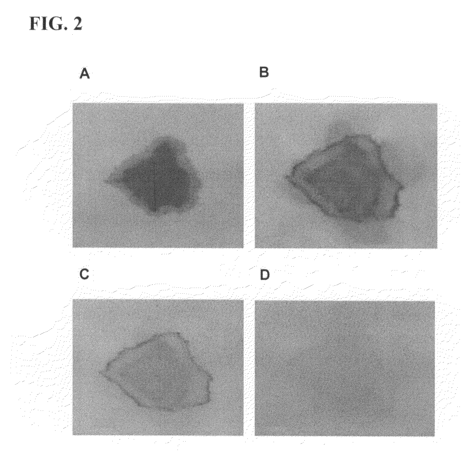 Colorant neutralizer