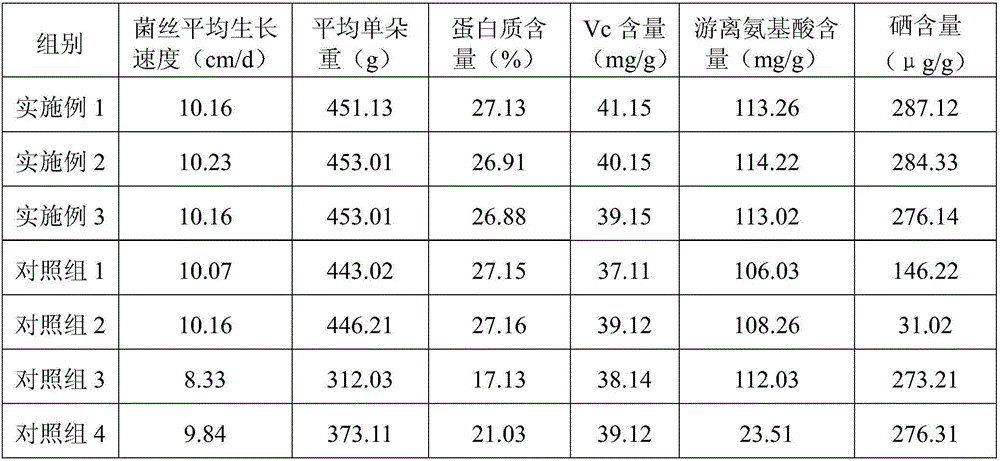 Culture medium for promoting high yield of selenium-rich oyster mushroom and preparation method of culture medium