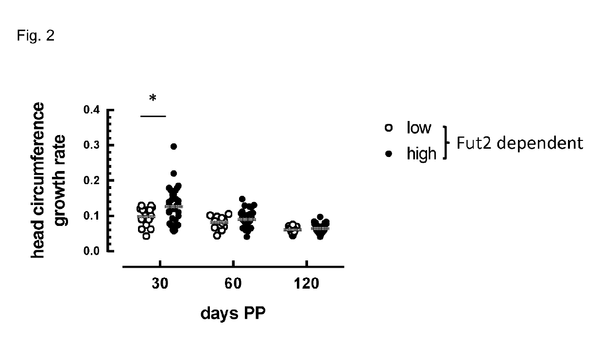 Composition comprising Fut2-dependent oligosaccharides and Lacto-N-neotetraose for use in promoting brain development and cognition