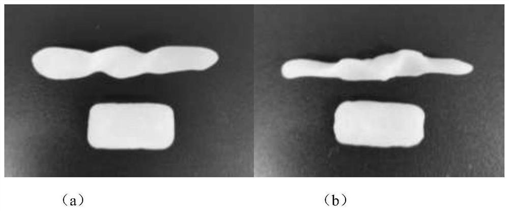 Antibacterial osteogenesis-promoting absorbable bone wax and preparation method thereof