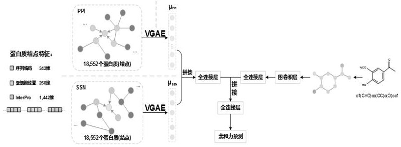 Protein multi-source feature fusion drug-target affinity prediction method