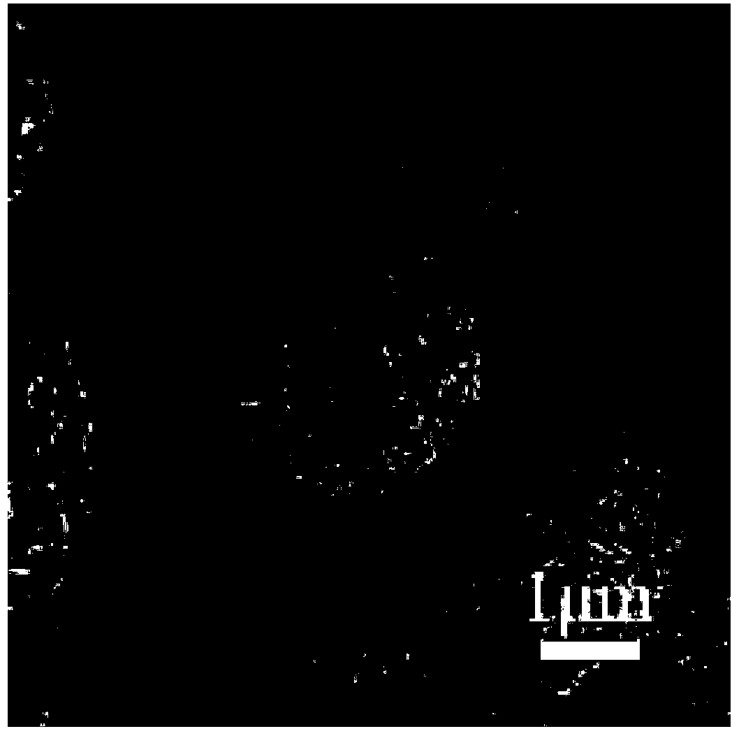 Preparation method of core-shell structure vanadium trioxide microspheres