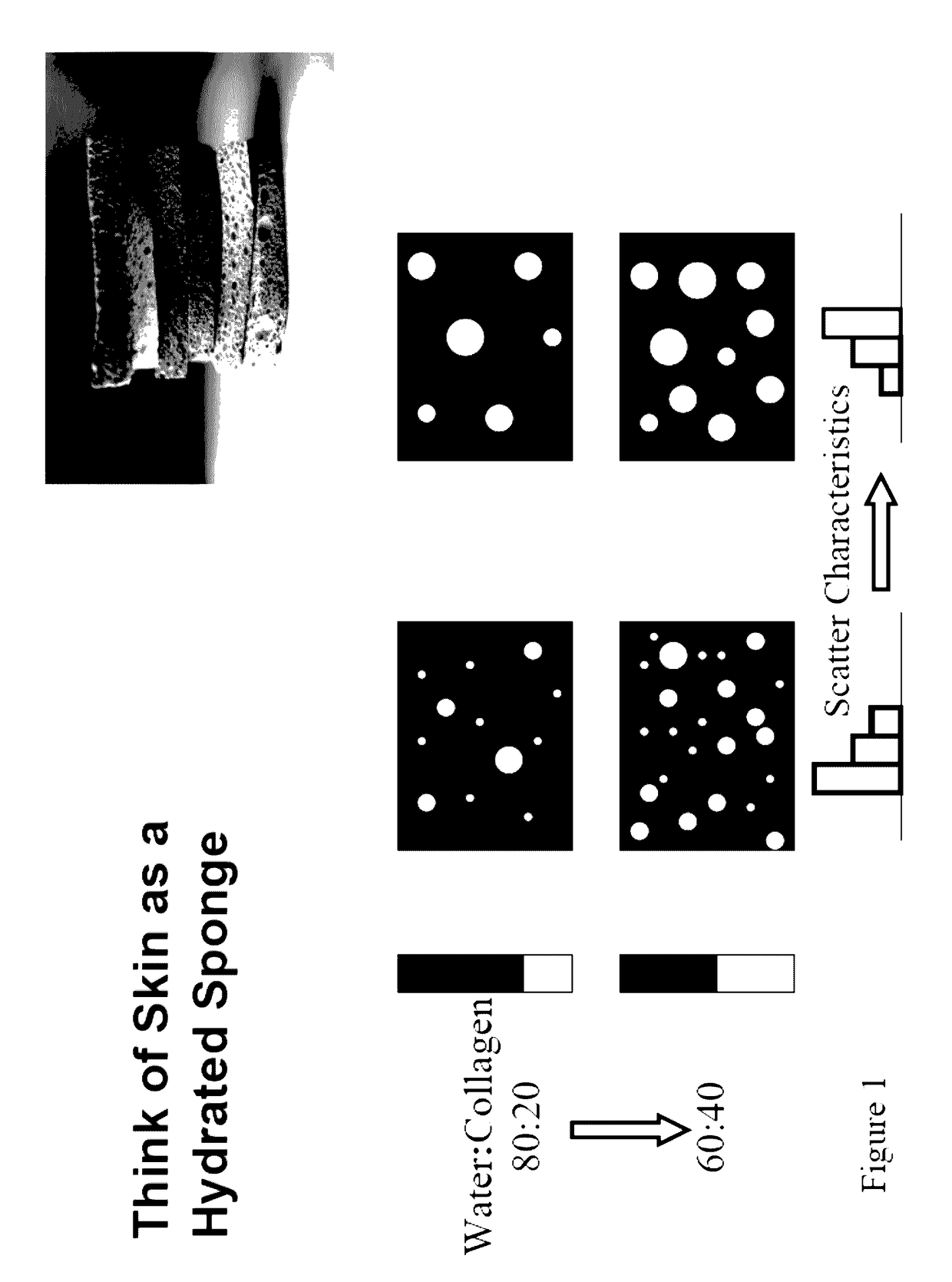 Methods and apparatuses for noninvasive determinations of analytes