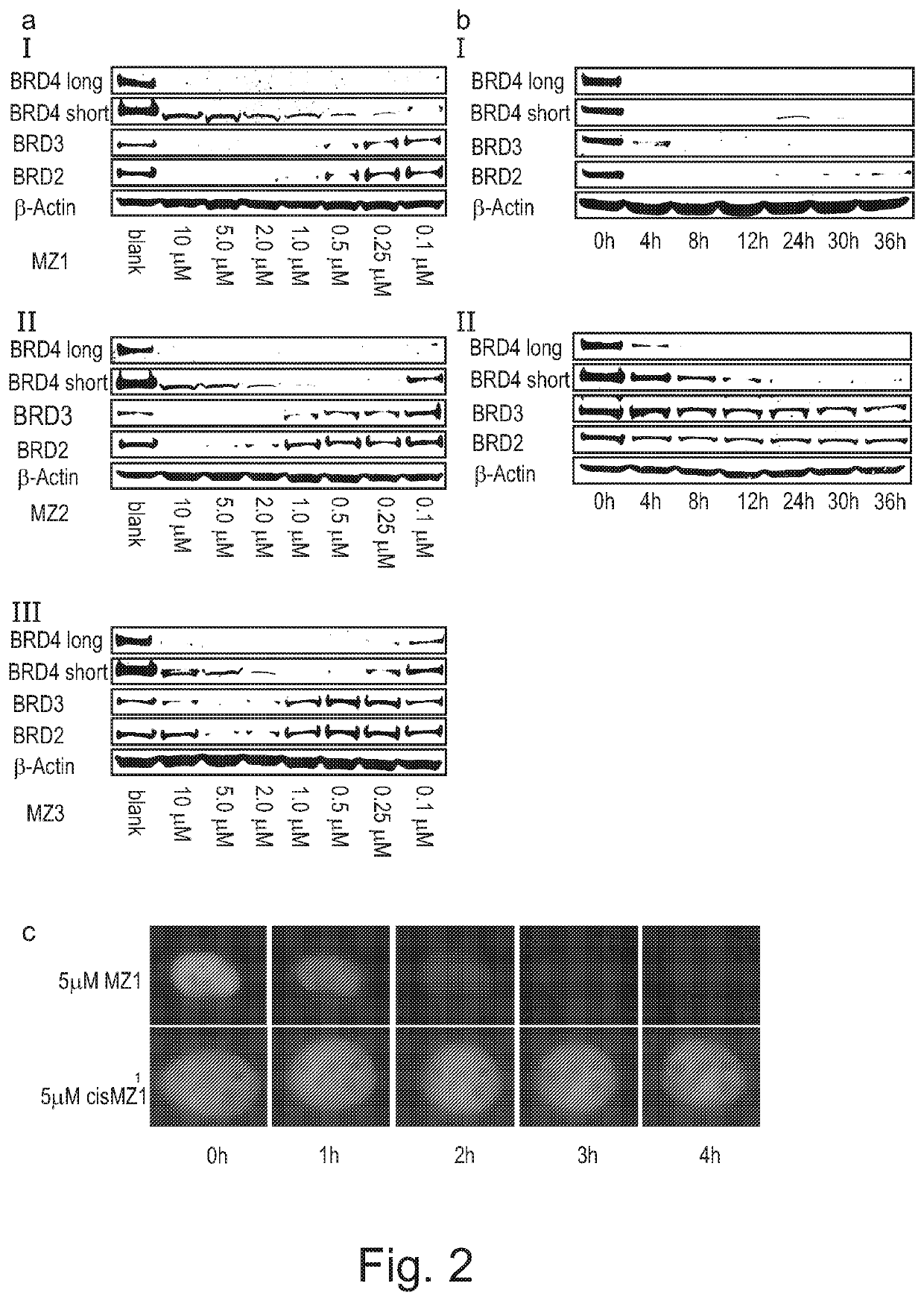 Derivatives of 1-[(cyclopentyl or 2-pyrrolidinyl)carbonylaminomethyl]-4-(l,3-thiazol-5-yl) benzene which are useful for the treatment of proliferative, autoimmune or inflammatory diseases