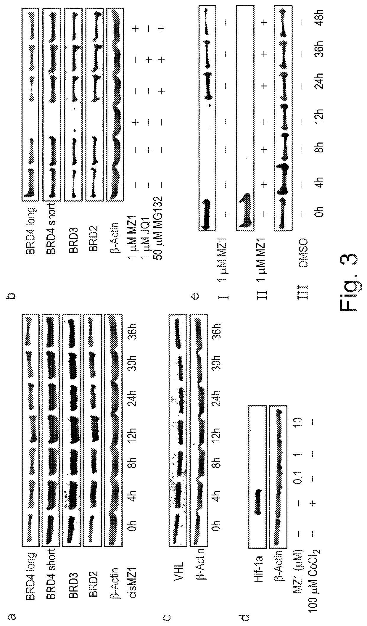 Derivatives of 1-[(cyclopentyl or 2-pyrrolidinyl)carbonylaminomethyl]-4-(l,3-thiazol-5-yl) benzene which are useful for the treatment of proliferative, autoimmune or inflammatory diseases