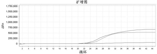 Composition, kit and method for detecting SARS-CoV-2 and application of composition, kit and method