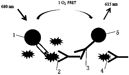 AlphaLISA detection kit of penicillinase in milk product