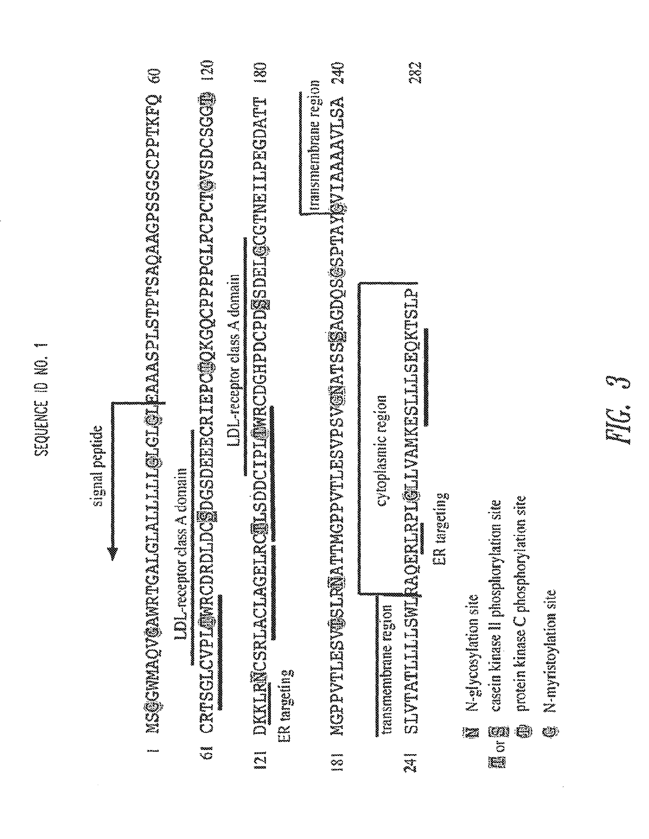 Transcobalamin receptor polypeptides, nucleic acids, and modulators thereof, and related methods of use in modulating cell growth and treating cancer and cobalamin deficiency