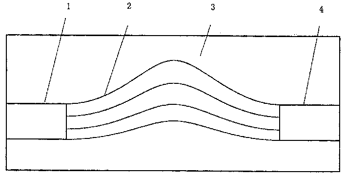 Array waveguide raster