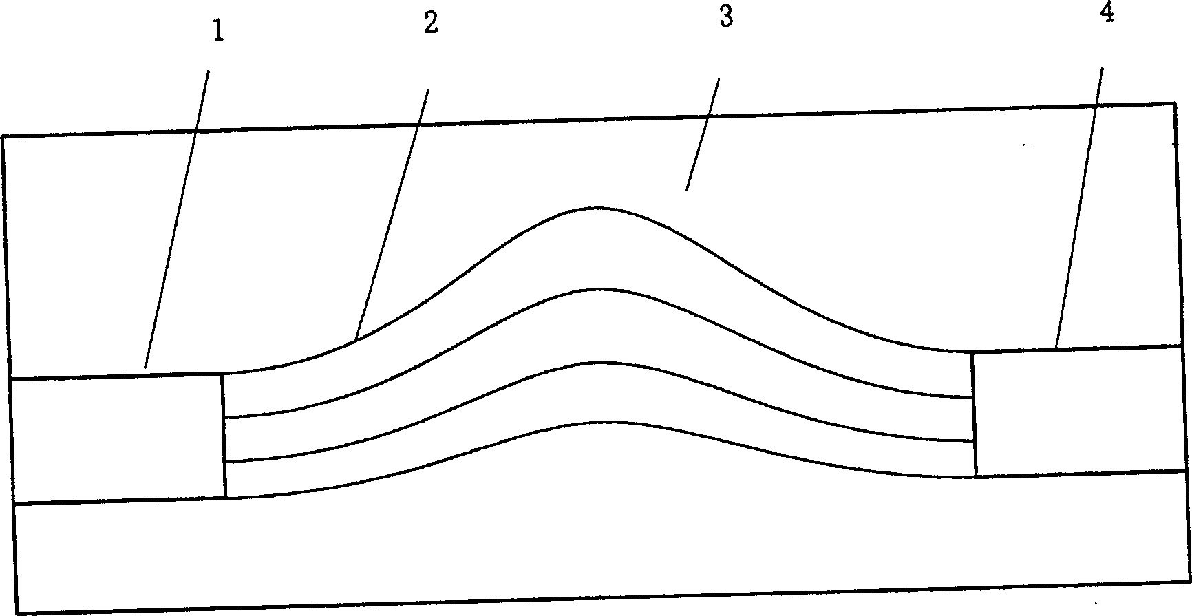 Array waveguide raster