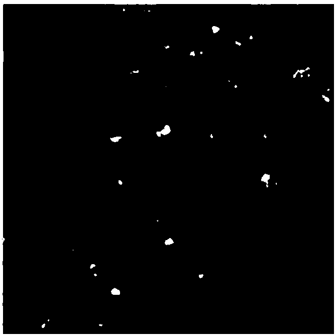 Application of anti-EGFR scFv::FTH1/FTH1 protein nanoparticles in preparation of drugs