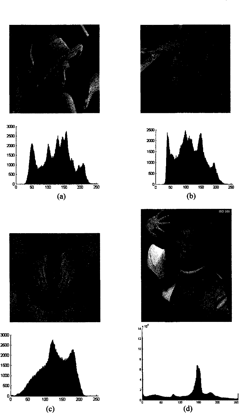 Image Lossless Data Embedding Method Based on Double Threshold