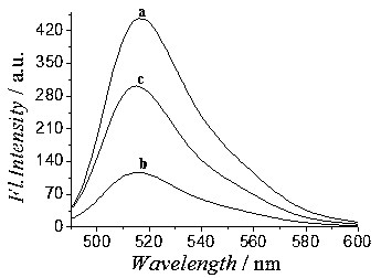 Method for preparing sulfur-phosphorus co-doped carbon quantum dots by adopting buckwheat shell as carbon source
