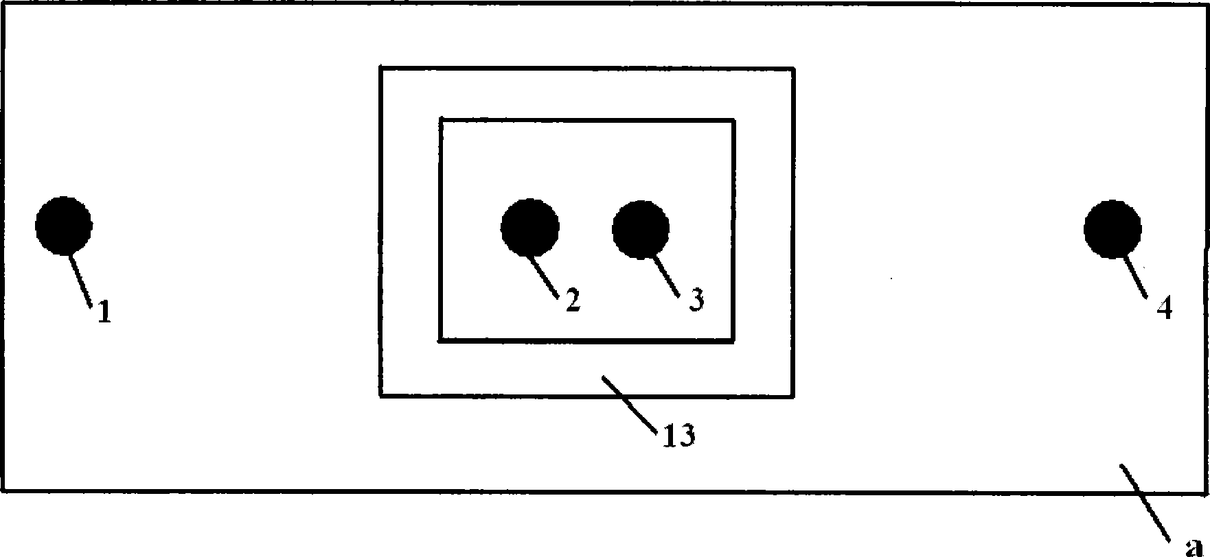 Sample pretreatment integrated chip