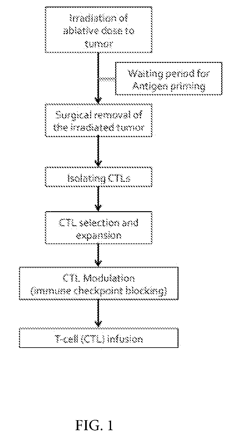 Method for in-situ radiation-primed t-cell therapy