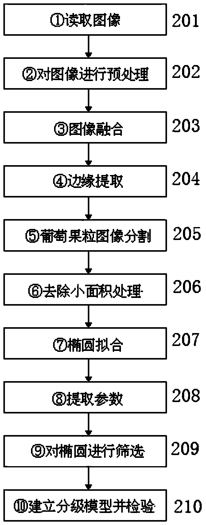 Device and method for grading the size of whole box of red grapes based on machine vision