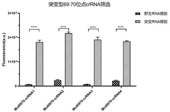 Method for detecting SARS-CoV-2 69: 70del site