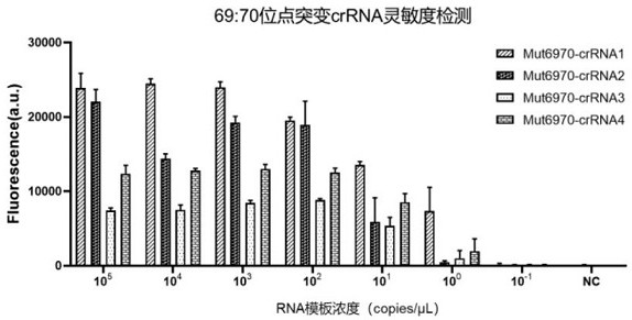 Method for detecting SARS-CoV-2 69: 70del site