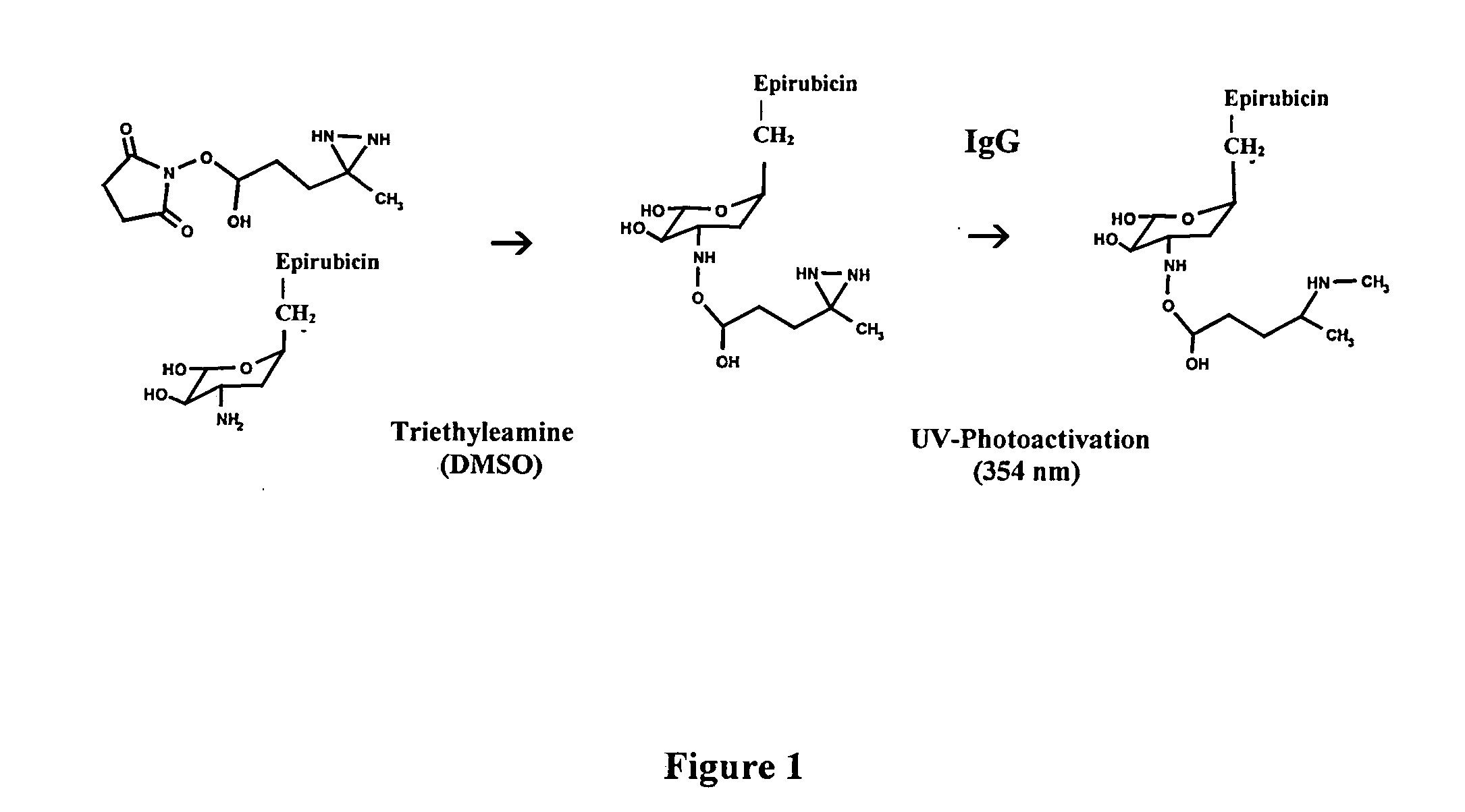 Molecular Design and Chemical Synthesis of Pharmaceutical-Ligands and Pharmaceutical-Pharmaceutical Analogs with Multiple Mechanisms of Action