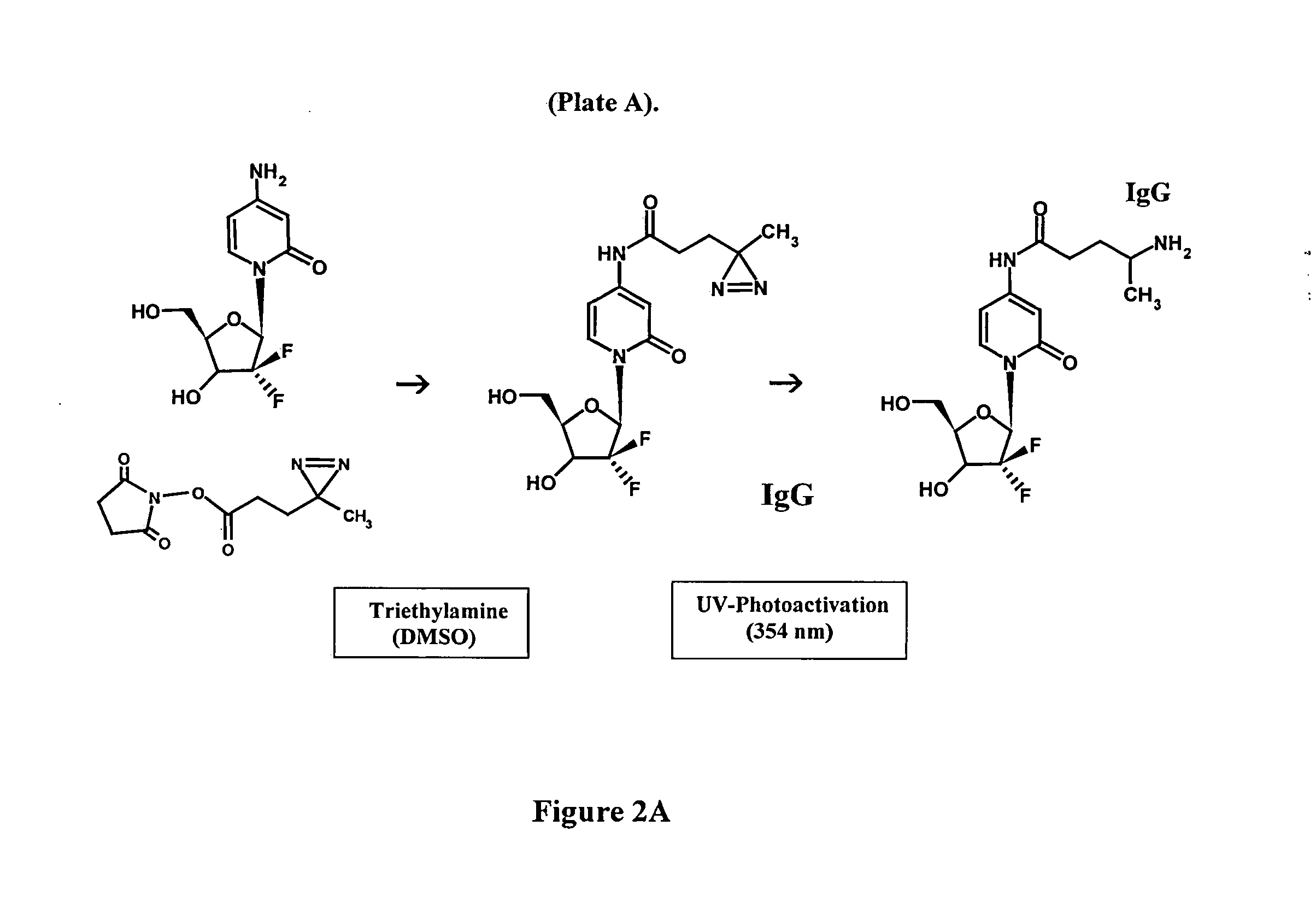 Molecular Design and Chemical Synthesis of Pharmaceutical-Ligands and Pharmaceutical-Pharmaceutical Analogs with Multiple Mechanisms of Action