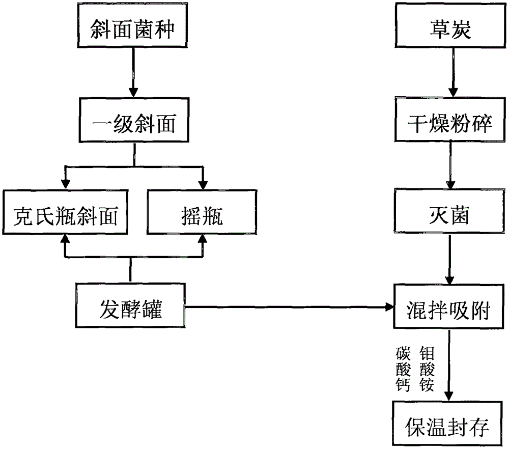 Method for making alfalfa rhizobium inoculant and rhizobium inoculant made through same and application thereof