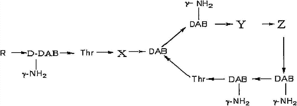 Method for separation purification of polymyxin B1 from polymyxin B mixed component