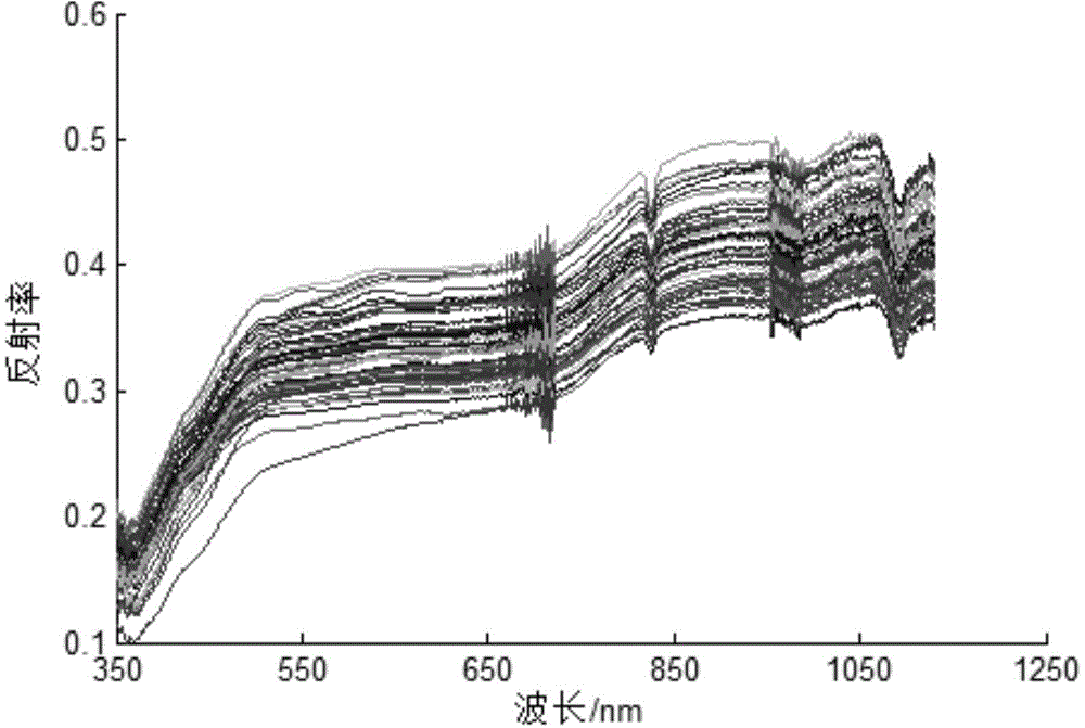 Estimation method for content of copper in soil on basis of visible-light near-infrared spectrum technology