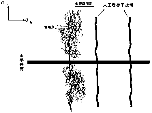 Hydraulic fracturing technology for horizontal well with fractures