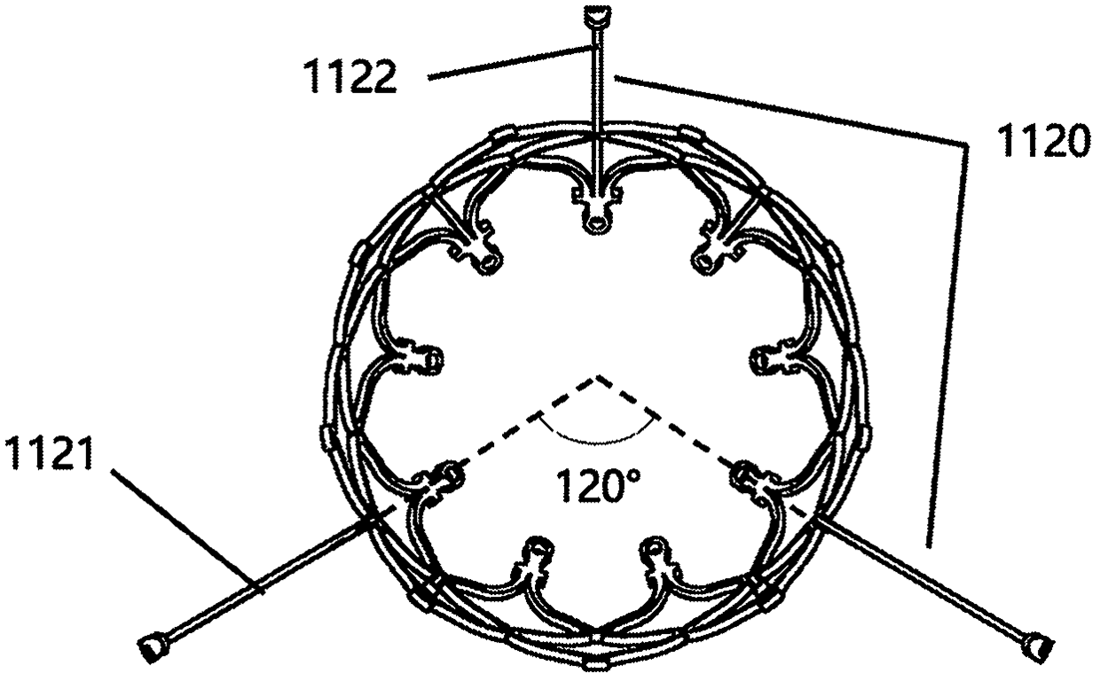 A prosthetic valve prosthesis