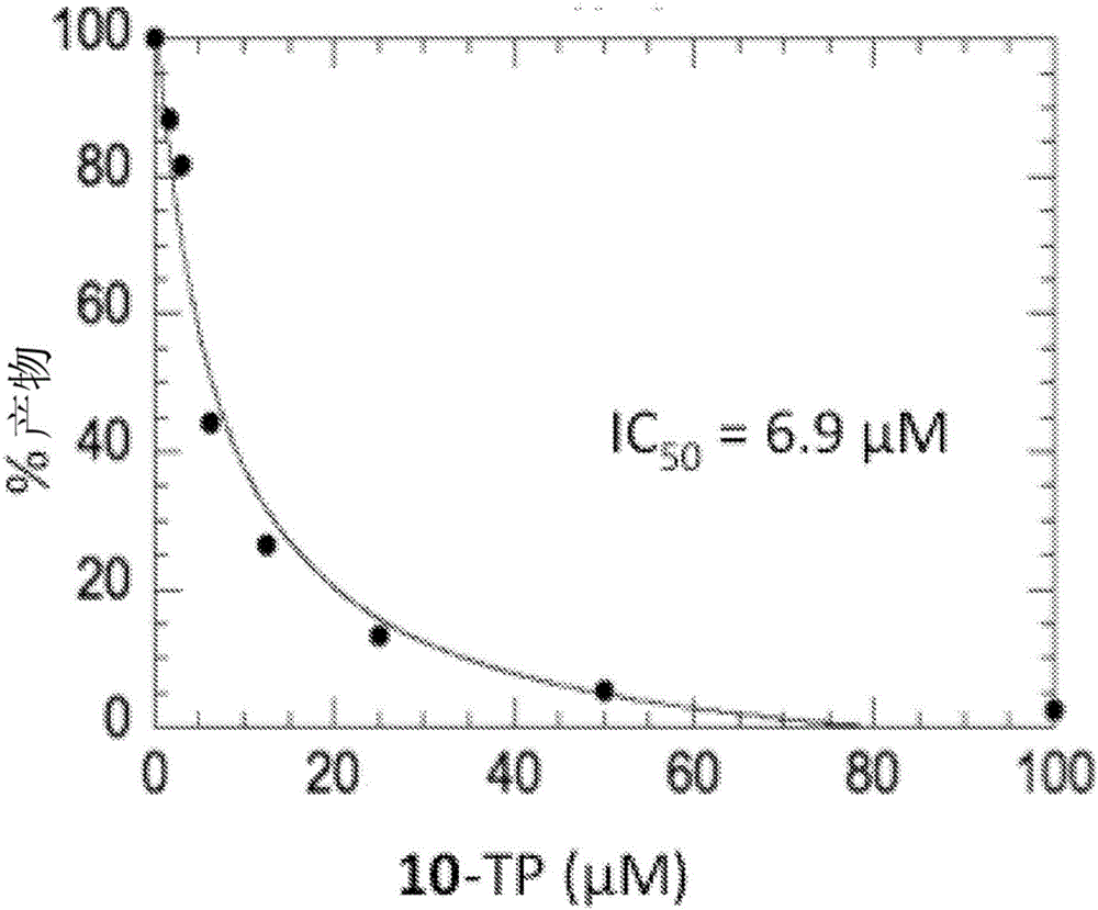 2'-disubstituted nucleoside analogs for treatment of the flaviviridae family of viruses and cancer