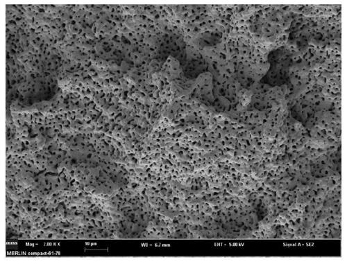 Beta-tricalcium phosphate porous ceramic drug-loading stent and preparation method and application thereof