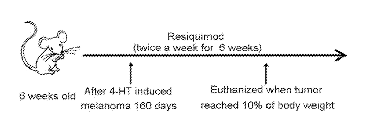 Resiquimod topical and injectable compositions for the treatment of neoplastic skin conditions